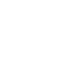 Felina Valencia Logo