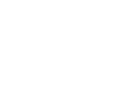 Felina Valencia Logo